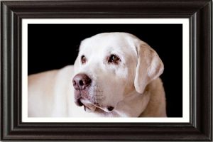 VIP-Picture-framing-JD-Suarez-Photography-griff